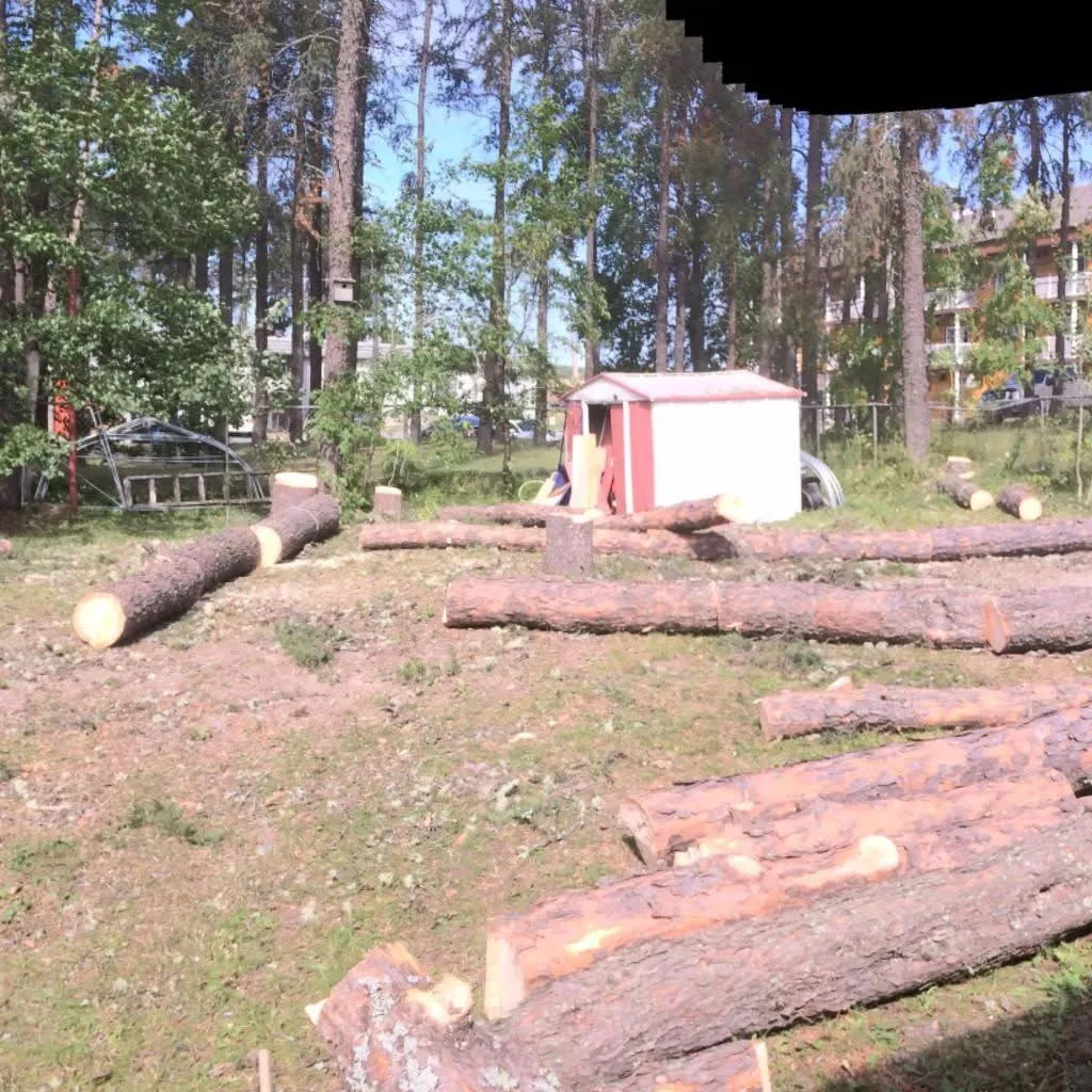 troncs arbres coupes emondage saguenay lac saint jean